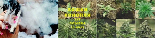 Альфа ПВП Бугульма