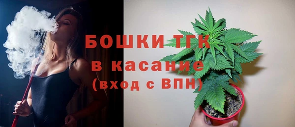 дживик Сатка