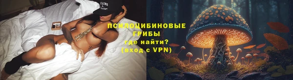 Альфа ПВП Бугульма