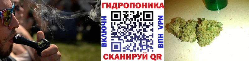 Купить где  Володарск  Каннабис планчик 